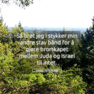 Picture 05 - Sakarja 11:14 NORSK - Så brøt jeg i stykker min andre stav bånd for - Bible Verse Picture