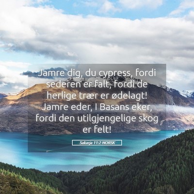 Picture 05 - Sakarja 11:2 NORSK - Jamre dig, du cypress, fordi sederen er falt, - Bible Verse Picture