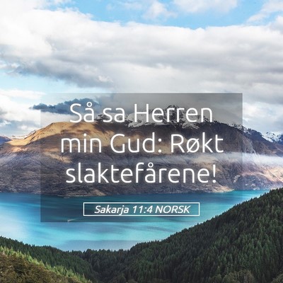 Picture 05 - Sakarja 11:4 NORSK - Så sa Herren min Gud: Røkt - Bible Verse Picture