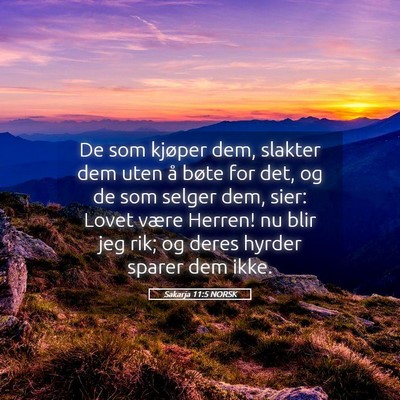 Picture 05 - Sakarja 11:5 NORSK - De som kjøper dem, slakter dem uten å bøte for - Bible Verse Picture