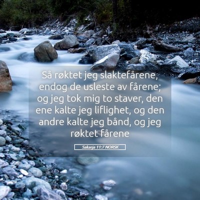 Picture 05 - Sakarja 11:7 NORSK - Så røktet jeg slaktefårene, endog de usleste - Bible Verse Picture