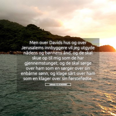 Picture 05 - Sakarja 12:10 NORSK - Men over Davids hus og over Jerusalems innbyggere - Bible Verse Picture