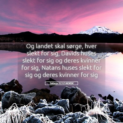 Picture 05 - Sakarja 12:12 NORSK - Og landet skal sørge, hver slekt for sig, Davids - Bible Verse Picture