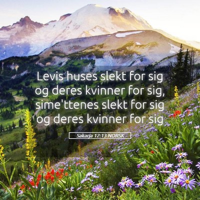 Picture 05 - Sakarja 12:13 NORSK - Levis huses slekt for sig og deres kvinner for - Bible Verse Picture