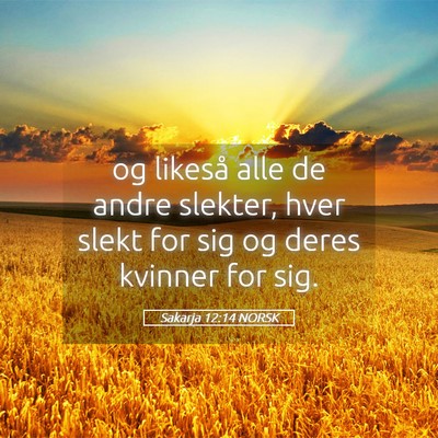Picture 05 - Sakarja 12:14 NORSK - og likeså alle de andre slekter, hver slekt for - Bible Verse Picture