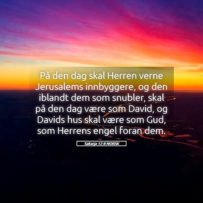 Picture 05 - Sakarja 12:8 NORSK - På den dag skal Herren verne Jerusalems - Bible Verse Picture