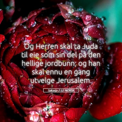 Picture 05 - Sakarja 2:12 NORSK - Og Herren skal ta Juda til eie som sin del på - Bible Verse Picture