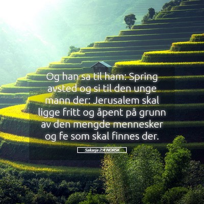 Picture 05 - Sakarja 2:4 NORSK - Og han sa til ham: Spring avsted og si til den - Bible Verse Picture