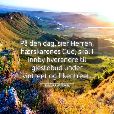 Picture 05 - Sakarja 3:10 NORSK - På den dag, sier Herren, hærskarenes Gud, skal - Bible Verse Picture