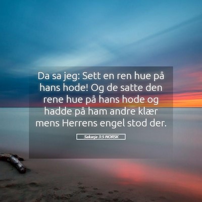 Picture 05 - Sakarja 3:5 NORSK - Da sa jeg: Sett en ren hue på hans hode! Og de - Bible Verse Picture