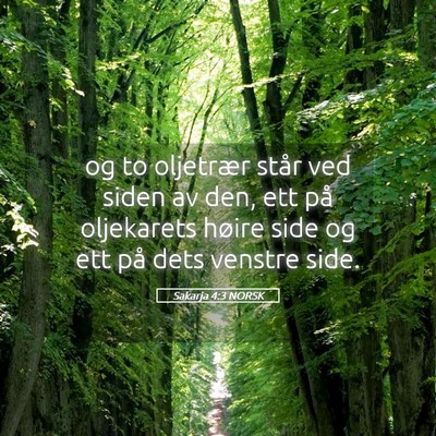Picture 05 - Sakarja 4:3 NORSK - og to oljetrær står ved siden av den, ett på - Bible Verse Picture
