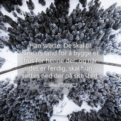Picture 05 - Sakarja 5:11 NORSK - Han svarte: De skal til Sinears land for å bygge - Bible Verse Picture
