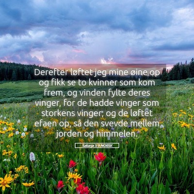 Picture 05 - Sakarja 5:9 NORSK - Derefter løftet jeg mine øine op og fikk se to - Bible Verse Picture