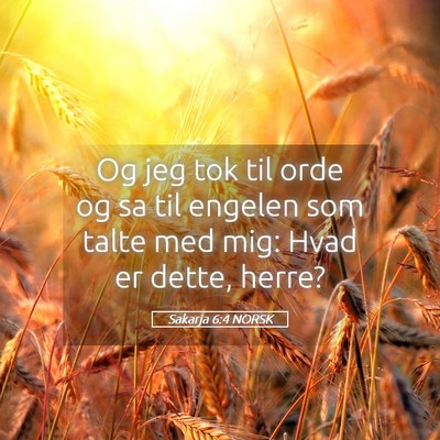 Picture 05 - Sakarja 6:4 NORSK - Og jeg tok til orde og sa til engelen som talte - Bible Verse Picture