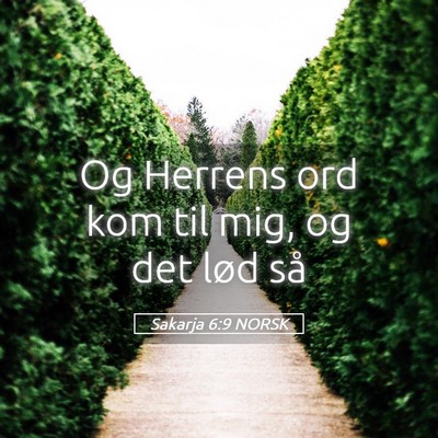 Picture 05 - Sakarja 6:9 NORSK - Og Herrens ord kom til mig, og det lød - Bible Verse Picture