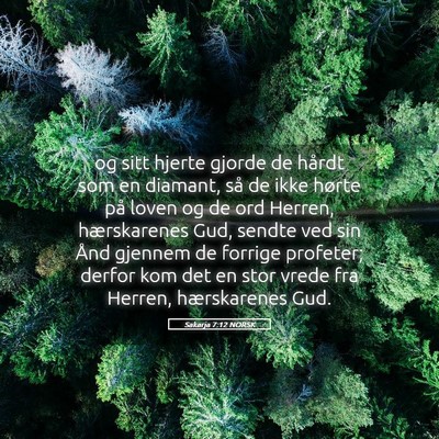 Picture 05 - Sakarja 7:12 NORSK - og sitt hjerte gjorde de hårdt som en diamant, - Bible Verse Picture