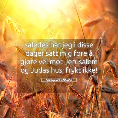 Picture 05 - Sakarja 8:15 NORSK - således har jeg i disse dager satt mig fore å - Bible Verse Picture