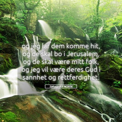Picture 05 - Sakarja 8:8 NORSK - og jeg lar dem komme hit, og de skal bo i - Bible Verse Picture