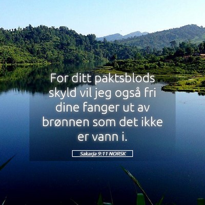 Picture 05 - Sakarja 9:11 NORSK - For ditt paktsblods skyld vil jeg også fri dine - Bible Verse Picture