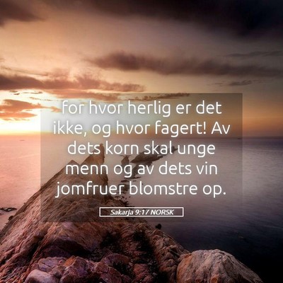 Picture 05 - Sakarja 9:17 NORSK - for hvor herlig er det ikke, og hvor fagert! Av - Bible Verse Picture