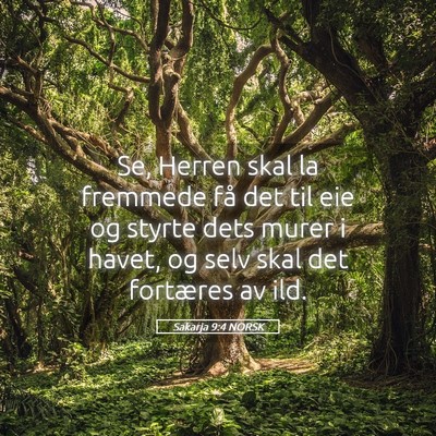 Picture 05 - Sakarja 9:4 NORSK - Se, Herren skal la fremmede få det til eie og - Bible Verse Picture