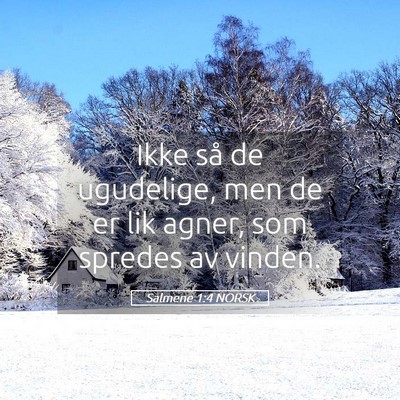 Picture 05 - Salmene 1:4 NORSK - Ikke så de ugudelige, men de er lik agner, som - Bible Verse Picture