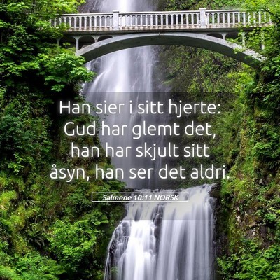 Picture 05 - Salmene 10:11 NORSK - Han sier i sitt hjerte: Gud har glemt det, han - Bible Verse Picture