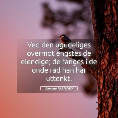 Picture 05 - Salmene 10:2 NORSK - Ved den ugudeliges overmot engstes de elendige; - Bible Verse Picture