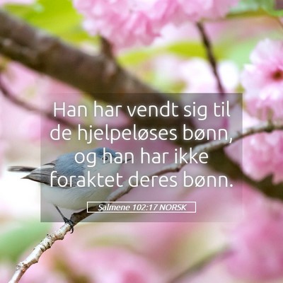 Picture 05 - Salmene 102:17 NORSK - Han har vendt sig til de hjelpeløses bønn, og - Bible Verse Picture