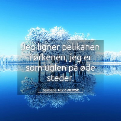 Picture 05 - Salmene 102:6 NORSK - Jeg ligner pelikanen i ørkenen, jeg er som uglen - Bible Verse Picture