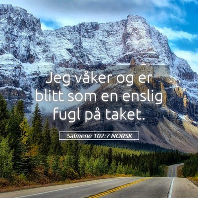 Picture 05 - Salmene 102:7 NORSK - Jeg våker og er blitt som en enslig fugl på - Bible Verse Picture