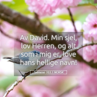 Picture 05 - Salmene 103:1 NORSK - Av David. Min sjel, lov Herren, og alt som i mig - Bible Verse Picture