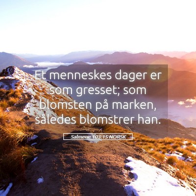 Picture 05 - Salmene 103:15 NORSK - Et menneskes dager er som gresset; som blomsten - Bible Verse Picture