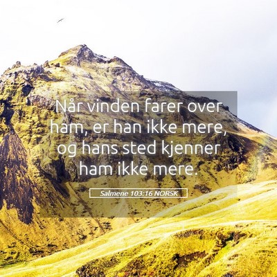 Picture 05 - Salmene 103:16 NORSK - Når vinden farer over ham, er han ikke mere, og - Bible Verse Picture