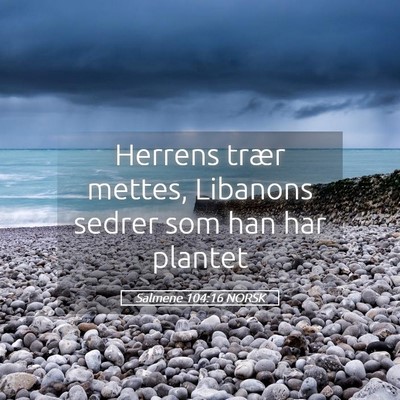 Picture 05 - Salmene 104:16 NORSK - Herrens trær mettes, Libanons sedrer som han har - Bible Verse Picture
