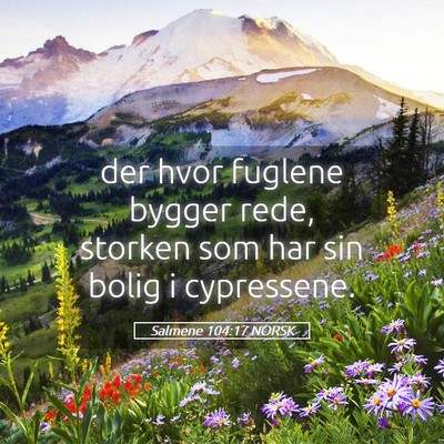 Picture 05 - Salmene 104:17 NORSK - der hvor fuglene bygger rede, storken som har sin - Bible Verse Picture