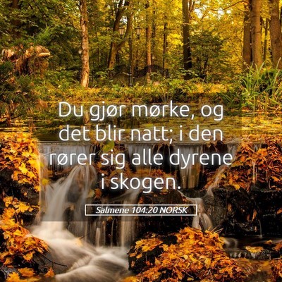 Picture 05 - Salmene 104:20 NORSK - Du gjør mørke, og det blir natt; i den rører - Bible Verse Picture