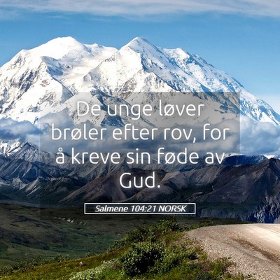 Picture 05 - Salmene 104:21 NORSK - De unge løver brøler efter rov, for å kreve - Bible Verse Picture