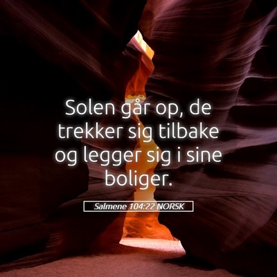 Picture 05 - Salmene 104:22 NORSK - Solen går op, de trekker sig tilbake og legger - Bible Verse Picture