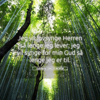 Picture 05 - Salmene 104:33 NORSK - Jeg vil lovsynge Herren så lenge jeg lever; jeg - Bible Verse Picture