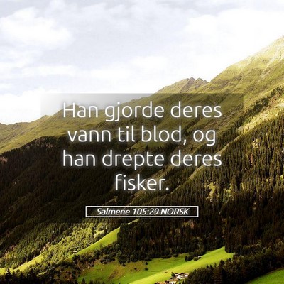 Picture 05 - Salmene 105:29 NORSK - Han gjorde deres vann til blod, og han drepte - Bible Verse Picture