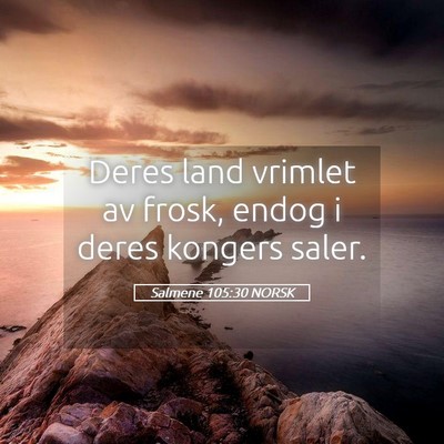 Picture 05 - Salmene 105:30 NORSK - Deres land vrimlet av frosk, endog i deres - Bible Verse Picture