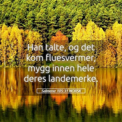 Picture 05 - Salmene 105:31 NORSK - Han talte, og det kom fluesvermer, mygg innen - Bible Verse Picture