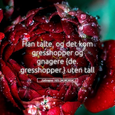 Picture 05 - Salmene 105:34 NORSK - Han talte, og det kom gresshopper og gnagere {de. - Bible Verse Picture