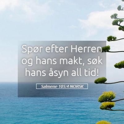 Picture 05 - Salmene 105:4 NORSK - Spør efter Herren og hans makt, søk hans åsyn - Bible Verse Picture