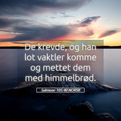 Picture 05 - Salmene 105:40 NORSK - De krevde, og han lot vaktler komme og mettet dem - Bible Verse Picture