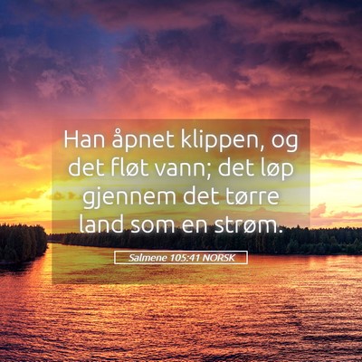 Picture 05 - Salmene 105:41 NORSK - Han åpnet klippen, og det fløt vann; det løp - Bible Verse Picture