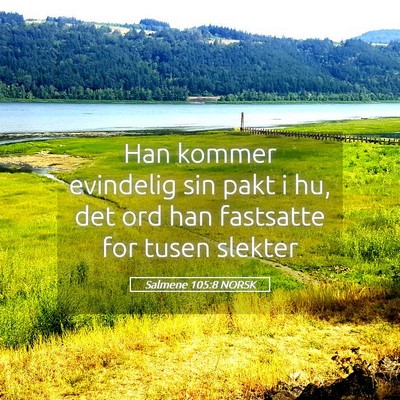 Picture 05 - Salmene 105:8 NORSK - Han kommer evindelig sin pakt i hu, det ord han - Bible Verse Picture