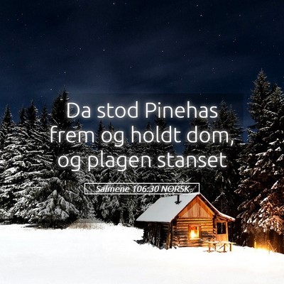 Picture 05 - Salmene 106:30 NORSK - Da stod Pinehas frem og holdt dom, og plagen - Bible Verse Picture
