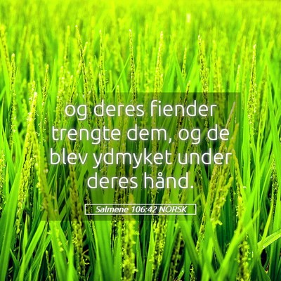 Picture 05 - Salmene 106:42 NORSK - og deres fiender trengte dem, og de blev ydmyket - Bible Verse Picture
